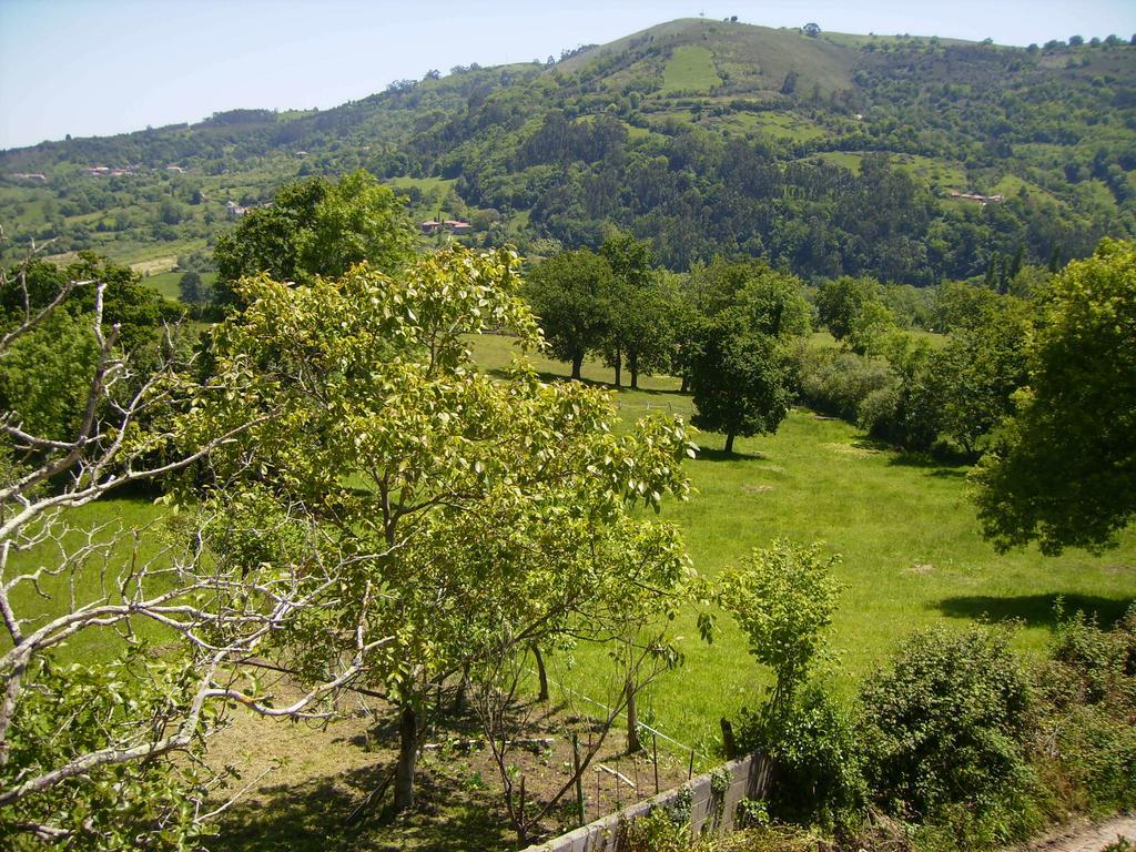 PuellesEl Mirador De Valdedios " Casa Friera"アパートメント エクステリア 写真